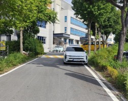 도서관 내 수목 유지관리