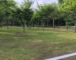 안산 호수 공원 맨발길 조성사업